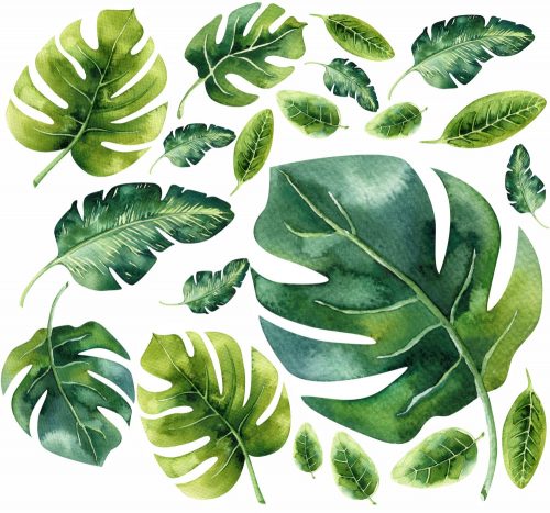  Monstera listi stenske nalepke 50x100cm