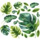  Monstera listi stenske nalepke 50x100cm