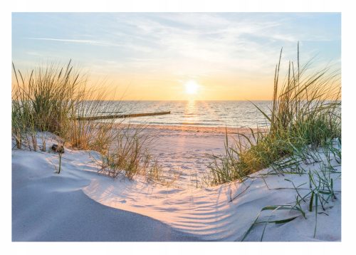 Fototapeta ZA DNEVNO SOBO 3D Beach Sea Dunes 368x254