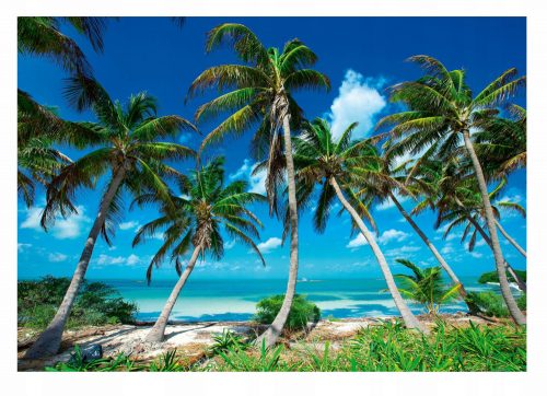 Stenska poslikava PARADISE BEACH 3D Sea of Palms 416x254