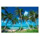 Stenska poslikava PARADISE BEACH 3D Sea of Palms 416x254