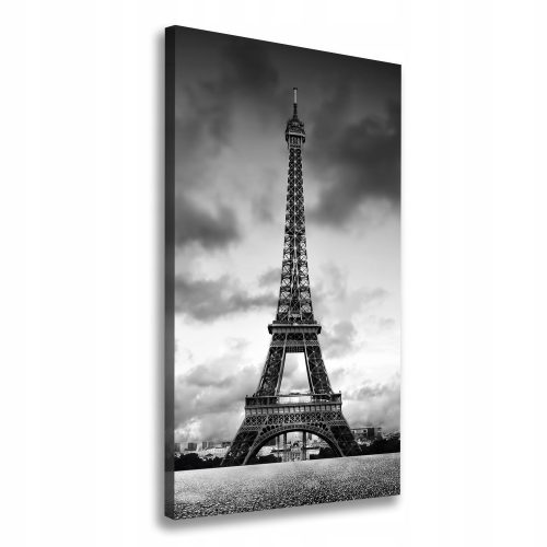 Foto slika na platnu Eifflov stolp Pariz 60x120 cm