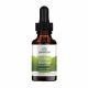  Swanson Health Products Ginkgo Biloba tekoči izvleček ginka bilobe 29,6 ml