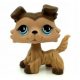  LPS Collie Littlest Pet Shop figurica Dog Dog