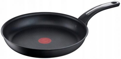 Tradicionalna ponev Tefal Selection 28 cm, titan