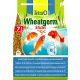  Tetra Pond Wheatgerm Sticks hrana za ribe 7 l