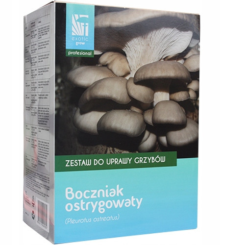  Set za gojenje gob Planto, ostrigar pleurotus Dobrzeatus