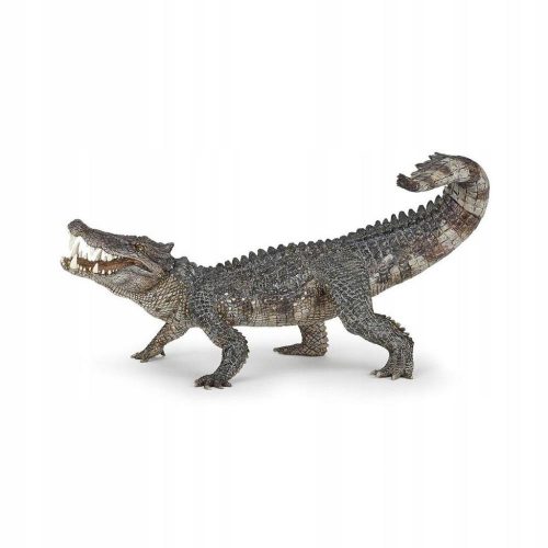  CAPROSUCHUS