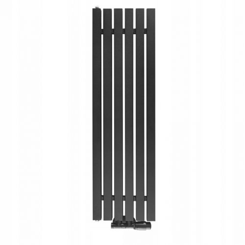  Vodni kopalniški radiator Regnis 438 W 290 x 1000 mm črn