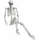  SKELETON SKELETOR HALLOWEEN BONEBODY 165cm