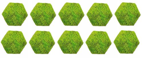 Hexagon moss dekorativni panel, hexagon moss, 10 kom