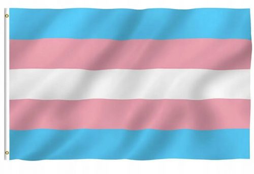  Trans Pride Bi vrtna zastavica