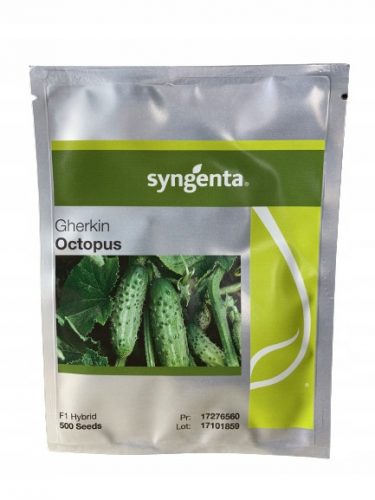 Njivska kumara Octopus F1 500 semen Syngenta