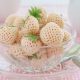  Gozdne jagode in jagode White Strawberry Pineapple FRIGO 10 kos, sadika z golo korenino 5-10 cm