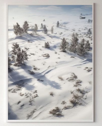 Plakat Narava - Pokrajine zimske divjine, rastline brez okvirja 70 x 100 cm