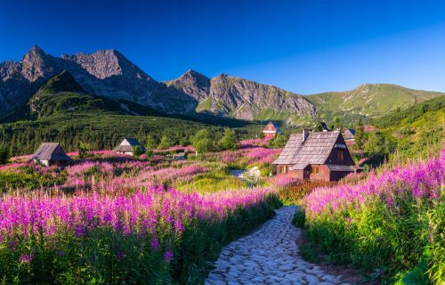 FOTO TAPETA ZA SPALNICO, DNEVNO SOBO, AVOLO GASIENICOWA TATRAS TATRA STENA 390x254