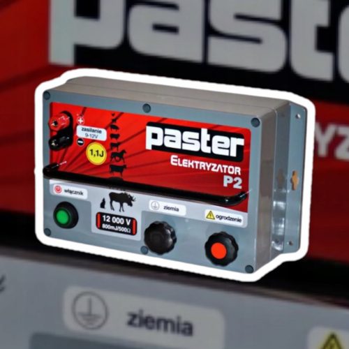  Elektrikator PASTER P2 - UV/dež odporen, 12/230V - Polish, močan!