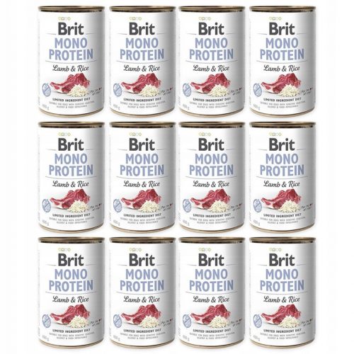  Brit Mono Protein mokra pasja hrana jagnjetina z rižem 400 g