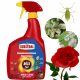  Substral Comprehensive Protection 2v1 Roses 800 ml