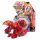  BAKUGAN LEGENDS DRAGONOID X TRETOROUS FIGUR