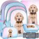  Večprekatni šolski nahrbtnik DOG CUTIES Starpak Shades of blue, Shades of pink, Multicolor 23 l + 3 ostali izdelki