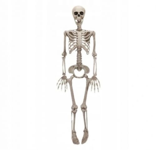  SKELETOR DEKORACIJA SKELETON HALLOWEEN 90 CM