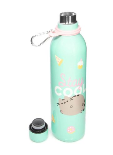  Termo steklenička Erik Pusheen 500 ml