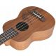  SOprano UKULELE MIX54 + SET 10 DODATKOV