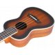  Koncert QBT ukulele