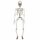  VISEČI DEKORACIJA SKELETON 91 CM HALLOWEEN Skeleton