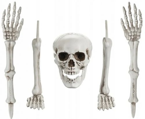  Dekoracija Skeleton BONES Skeleton Skull Arms Legs Halloween 5 kom.