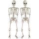  2x VISEČA OKOSTJNJAKA 35cm SET SKELETON OKRASEK DEKORACIJA ZA NOČ ČAROVNIC