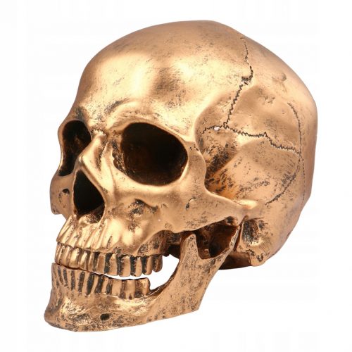  1PC Akcijska figura Lobanja Halloween Skull Prop