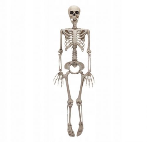  SKELETOR DEKORACIJA SKELETON HALLOWEEN 90 CM