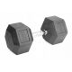  Gumirana ročica iz litega železa HEX 25kg Rebel hexagonal dumbbell, SOLID