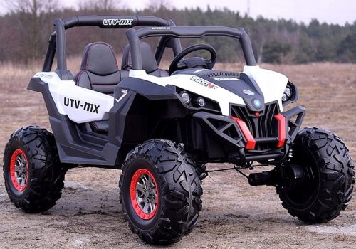  JEEP BUGGY UTV MX AKUMULATOR 24V MOČ 180W AMORY PILOT