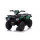  Quad LEANToys 5905323217928 Rjava, črna, vijolična, modra