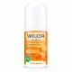  Weleda Sanddorn roll-on deodorant 50 ml