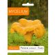  Micelij micelij Chanterelle 10 g