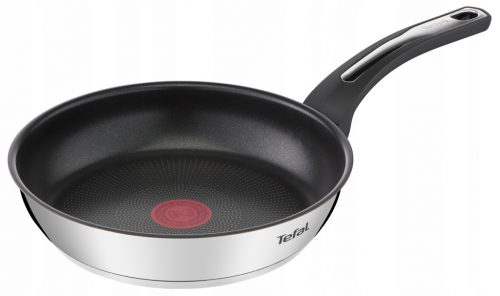  Tradicionalna ponev Tefal Emotion 24 cm, titan